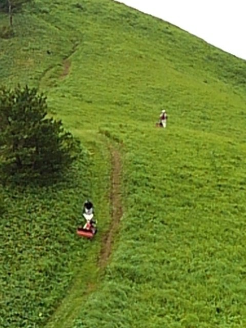 雲月山の登山道草刈り